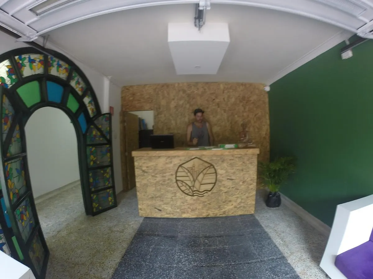 Forest Medellin Hostel