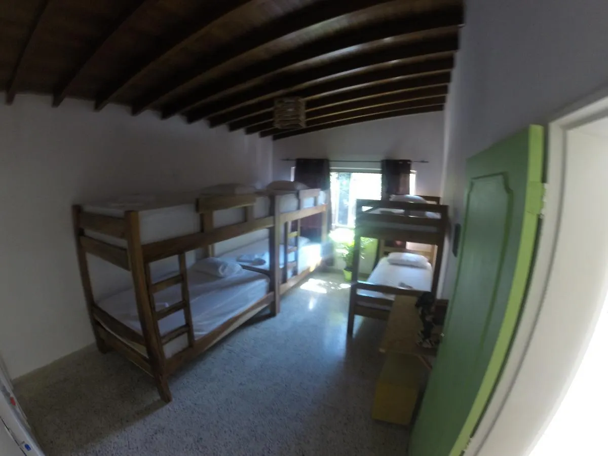 Forest Medellin Hostel