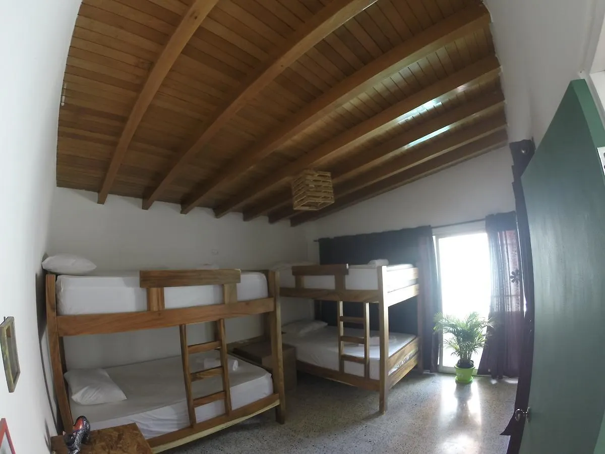 Forest Medellin Hostel