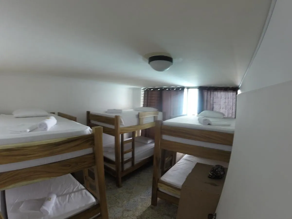 Forest Medellin Hostel