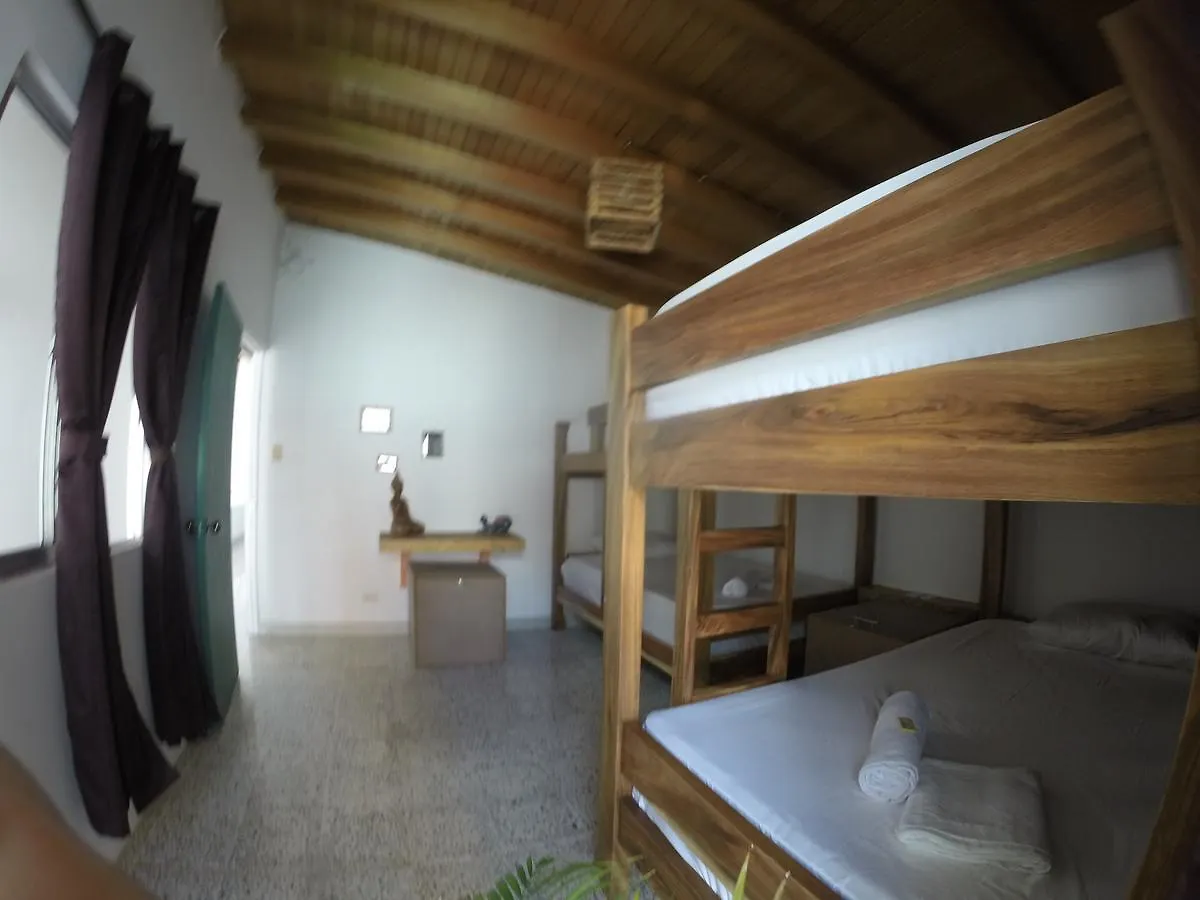 Forest Medellin Hostel Colombia
