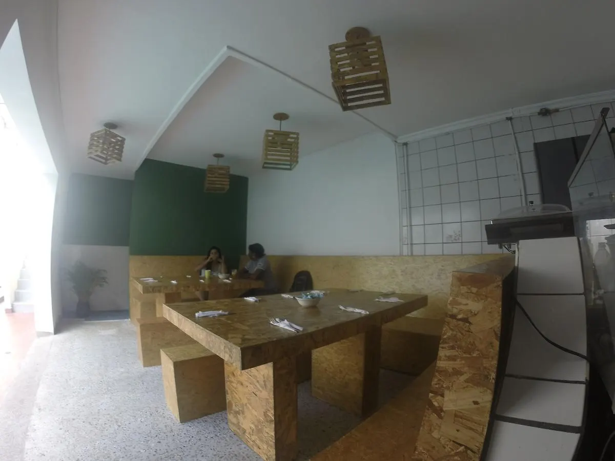 Forest Medellin Hostel