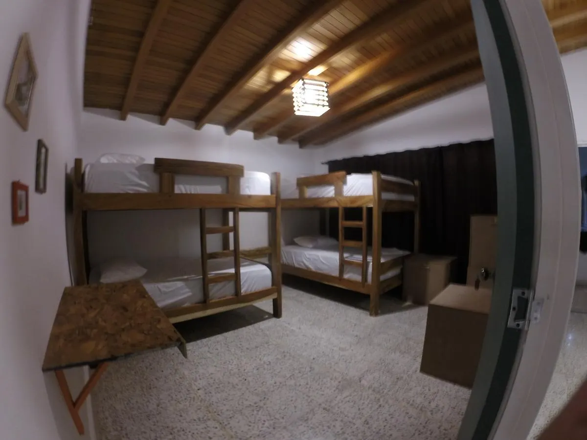 Forest Medellin Hostel Colombia