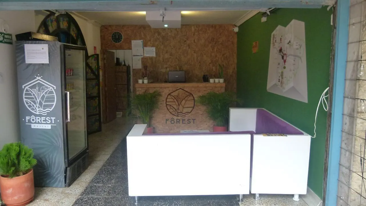 Forest Medellin Hostel