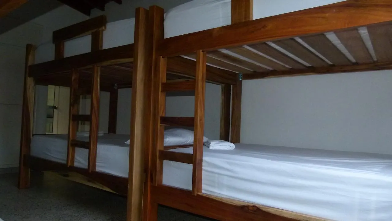 Forest Medellin Hostel