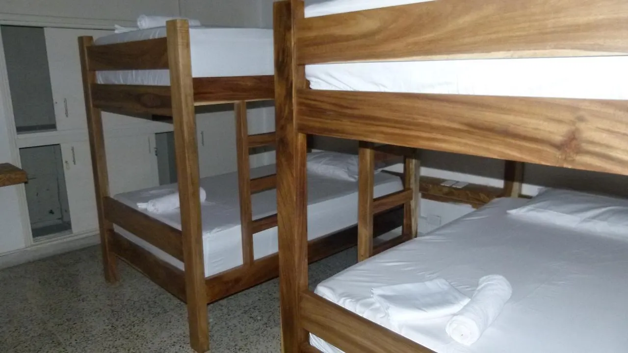 Forest Medellin Hostel