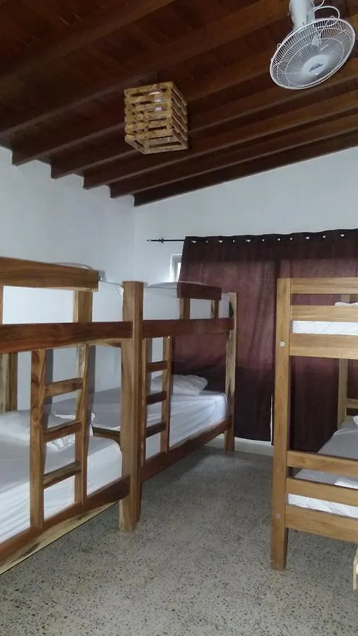 Forest Medellin Hostel Colombia