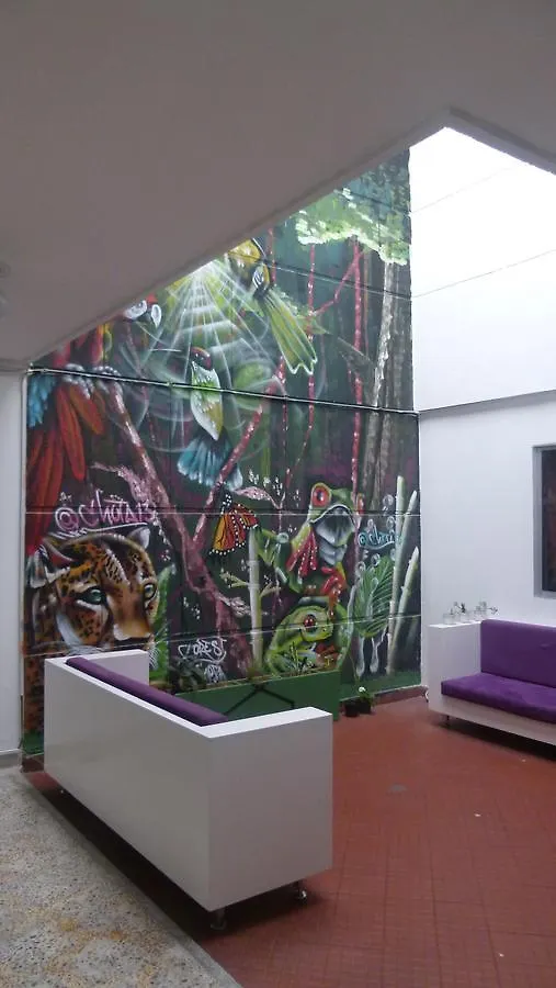 Forest Medellin Hostel Colombia