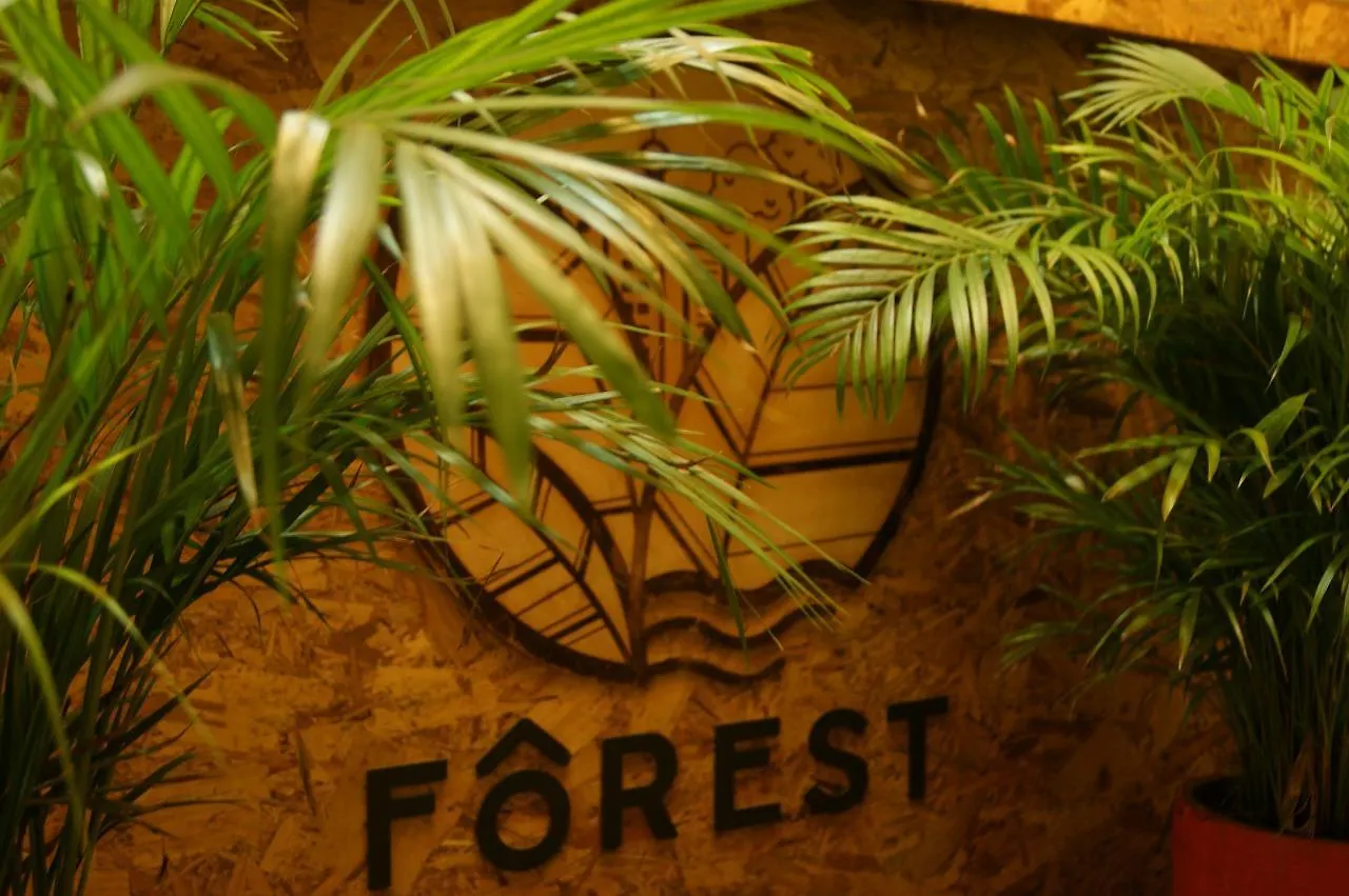 Forest Medellin Hostel